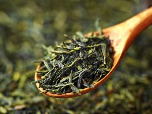 خواص چای سبز: معجزه این چای شفابخش را دست کم نگیرید