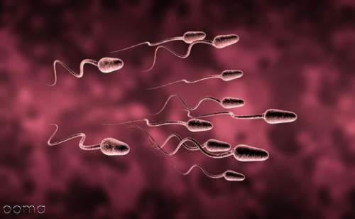 علت کم تحرکی اسپرم، درمان آن و احتمال بارداری