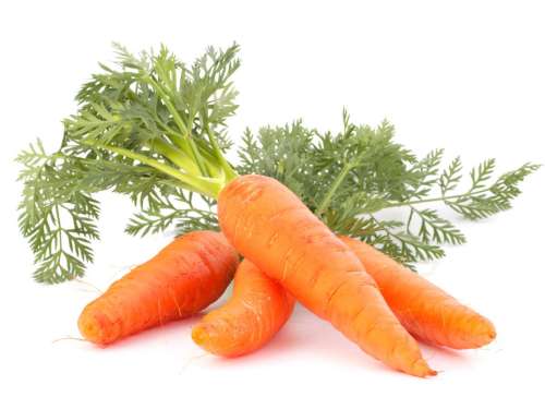 هویج برای دیابتی ها خوب است؟ آیا دیابتی ها می توانند هویج بخورند؟