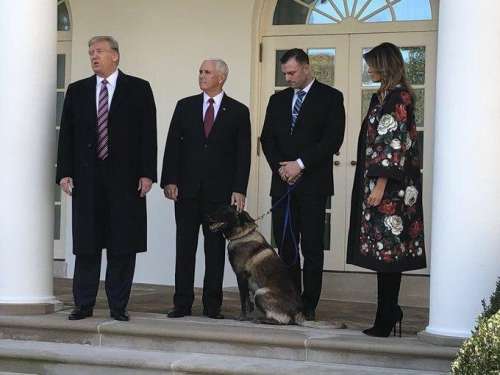 عکس | ترامپ در مراسم تجلیل از سگی که بغدادی را به دام انداخت!
